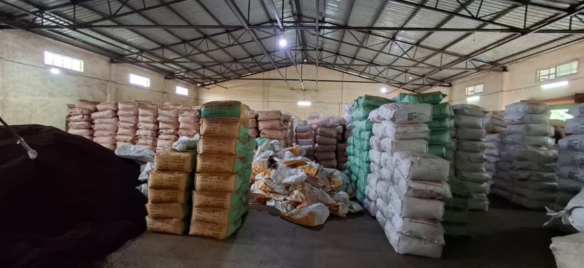 Tea being packaged at a SA Chai Holdings facility